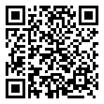 QR-Code - Mystery