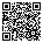 QR-Code - Professional Gaming 02